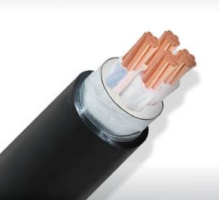 CÁP Cu/XLPE/PVC/DSTA/PVC